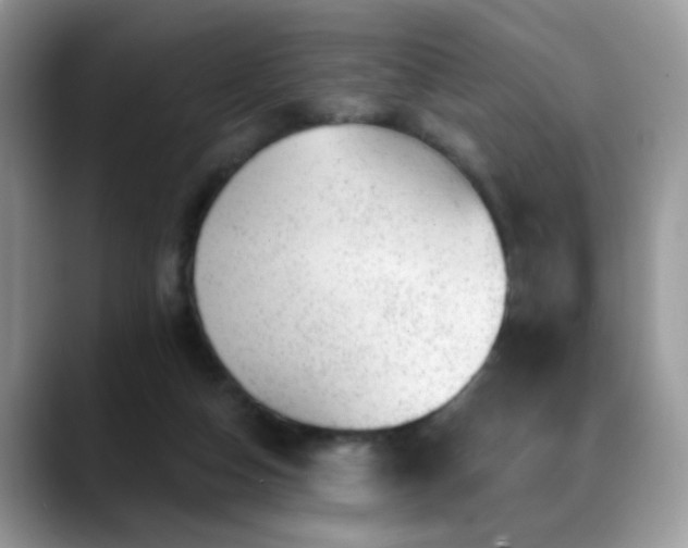 X0000088900162200706081312