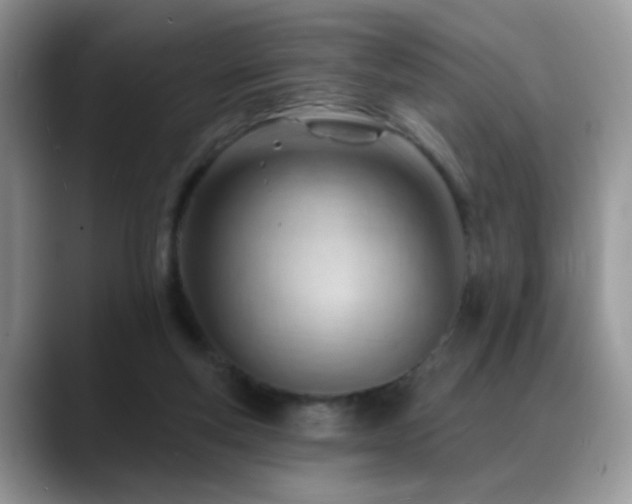 X0000088900163200706081312