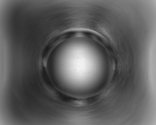 X0000088900164200706081312
