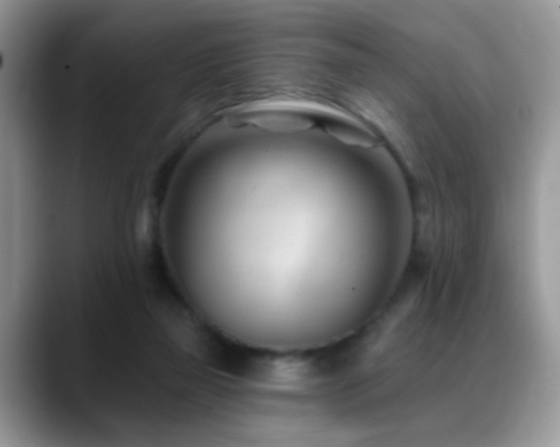 X0000088900165200706081312