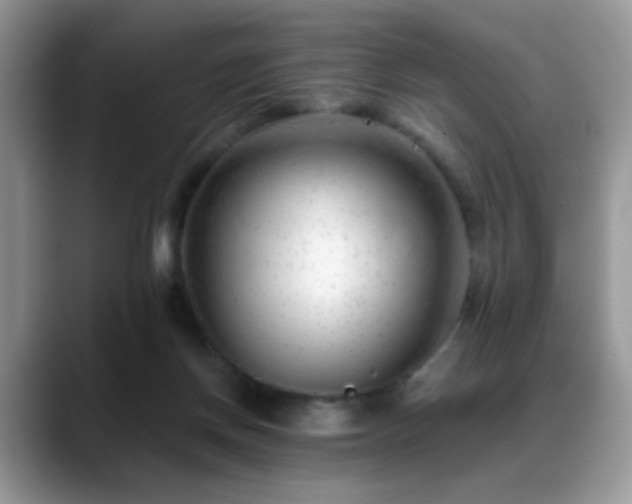 X0000088900166200706081312