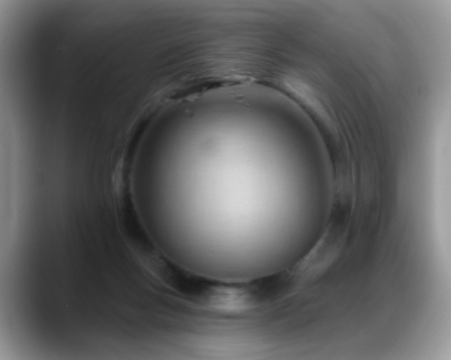 X0000088900167200706081312