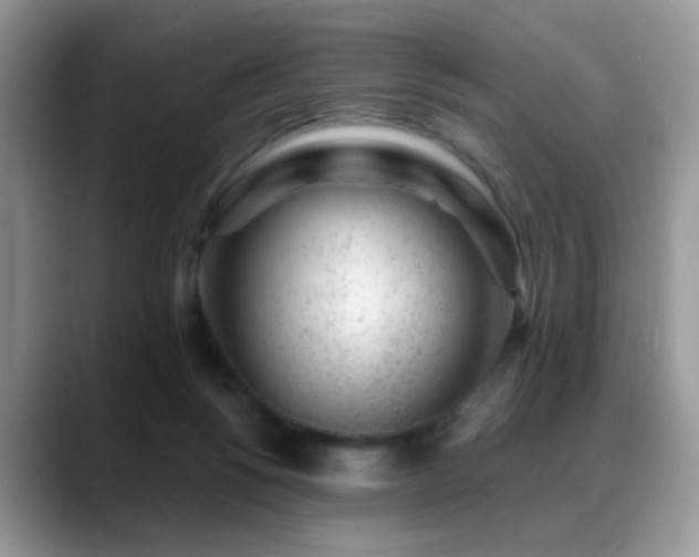 X0000088900168200706081312
