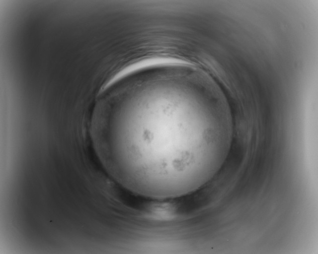 X0000088900169200706081312