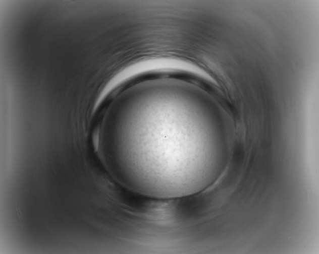 X0000088900170200706081312