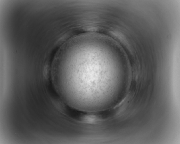 X0000088900171200706081312