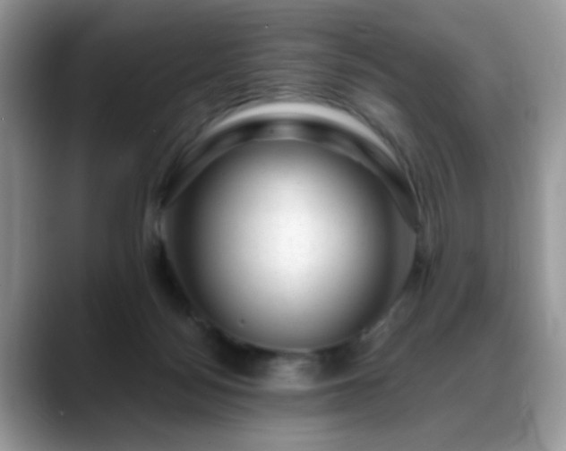 X0000088900172200706081312