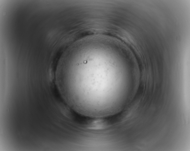 X0000088900173200706081312