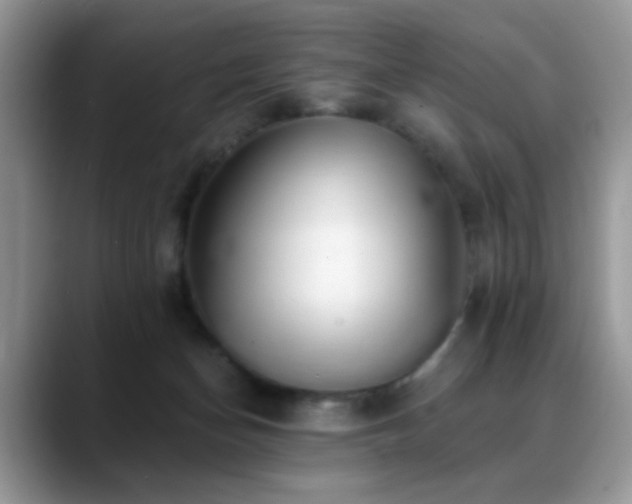 X0000088900174200706081312