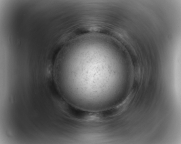 X0000088900175200706081312