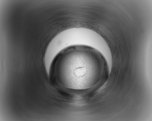 X0000088900176200706081312