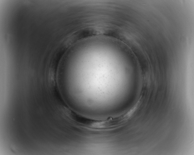 X0000088900178200706081312