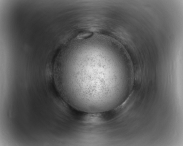 X0000088900179200706081312