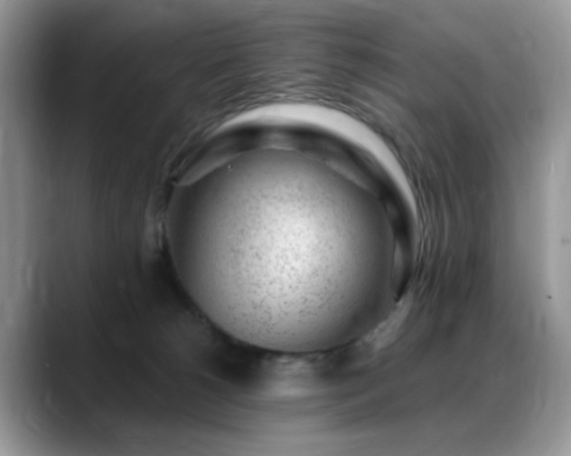 X0000088900180200706081312