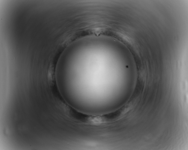X0000088900181200706081312