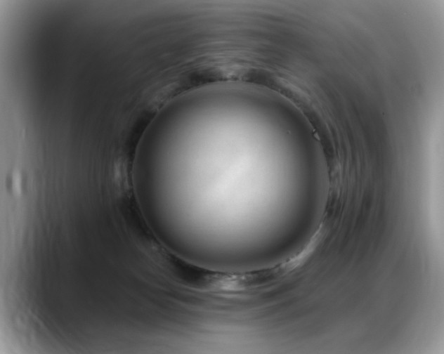 X0000088900182200706081312