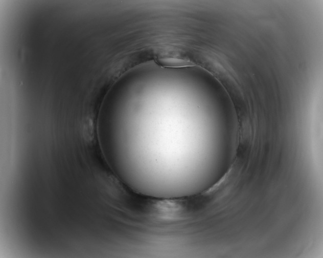 X0000088900183200706081312