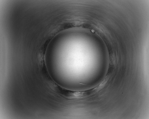 X0000088900184200706081312