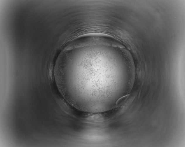 X0000088900185200706081312