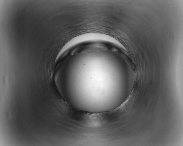 X0000088900186200706081312
