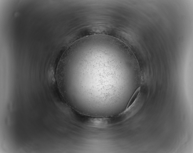 X0000088900187200706081312