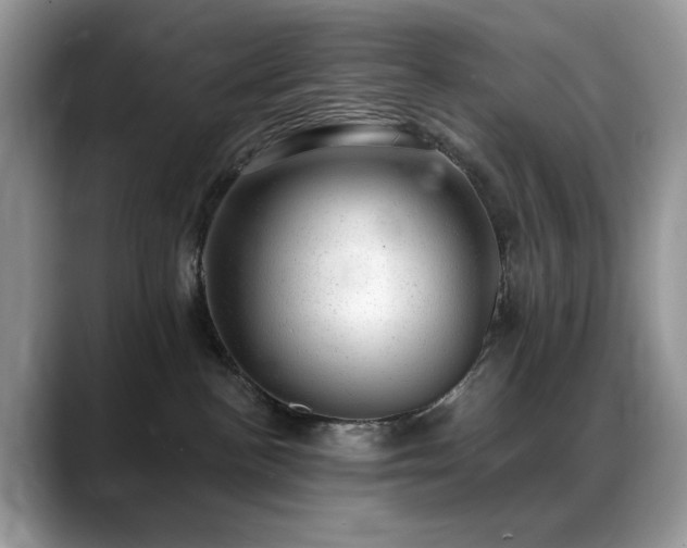 X0000088900188200706081312