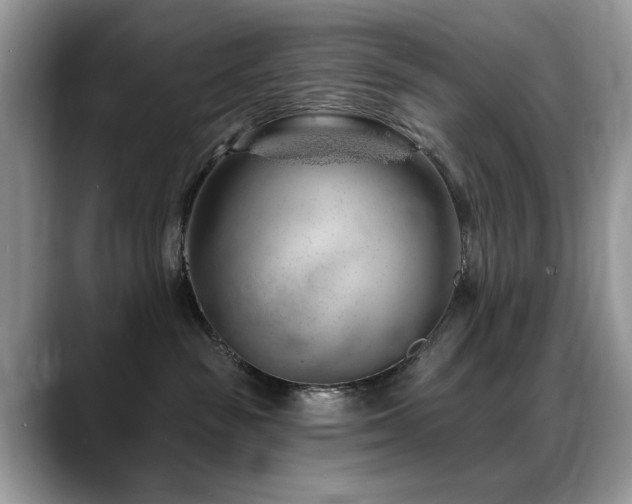 X0000088900189200706081312
