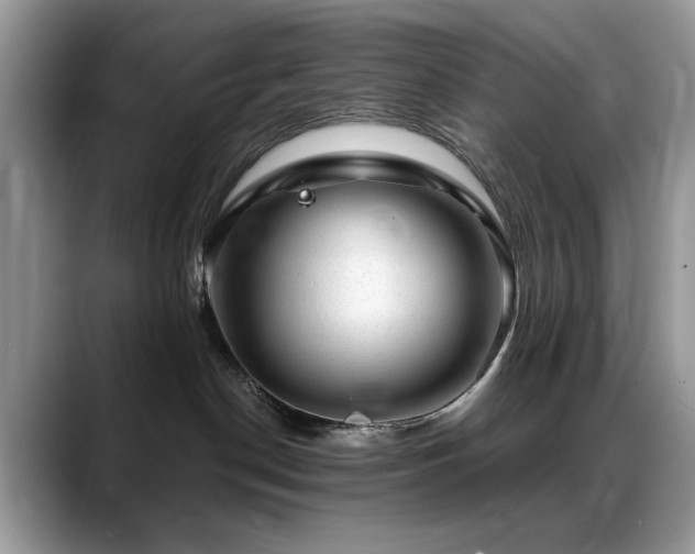 X0000088900190200706081312