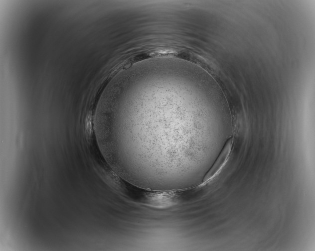 X0000088900191200706081312