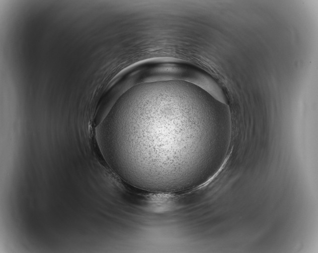 X0000088900192200706081312