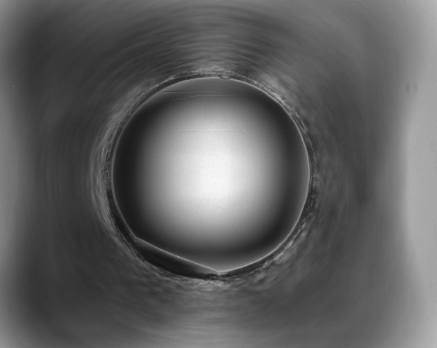 X0000088900193200706081312