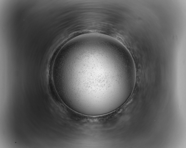 X0000088900194200706081312