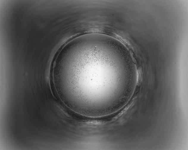X0000088900195200706081312