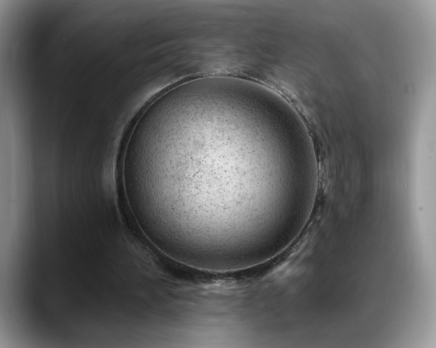 X0000088900196200706081312
