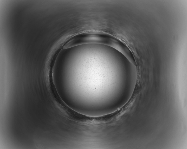X0000088900197200706081312