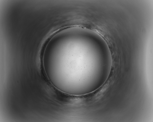 X0000088900198200706081312
