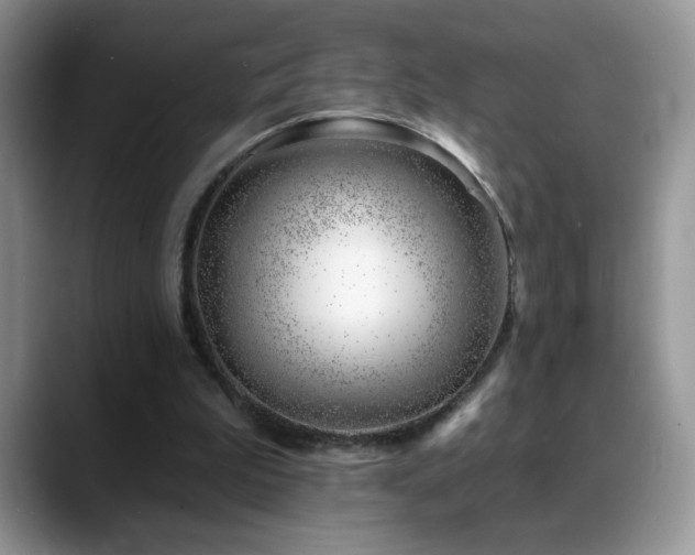 X0000088900199200706081312