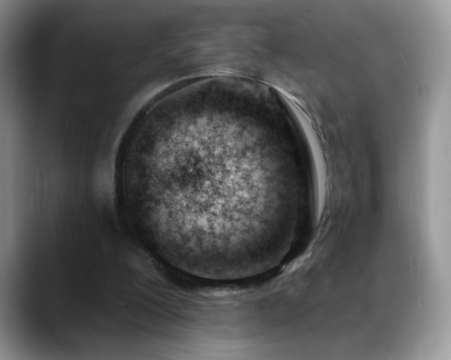 X0000088900200200706081312