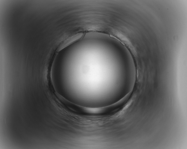 X0000088900201200706081312