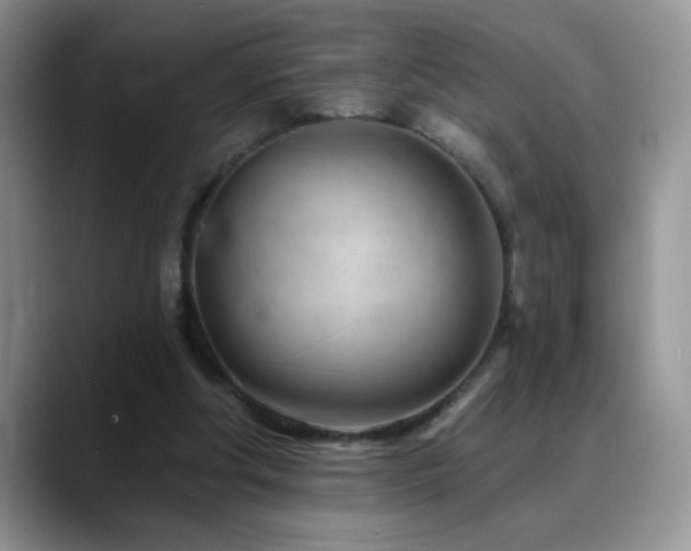 X0000088900202200706081312