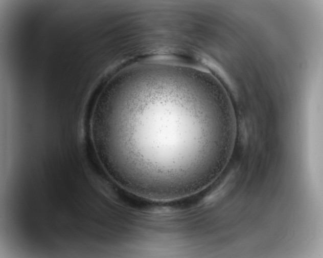 X0000088900203200706081312