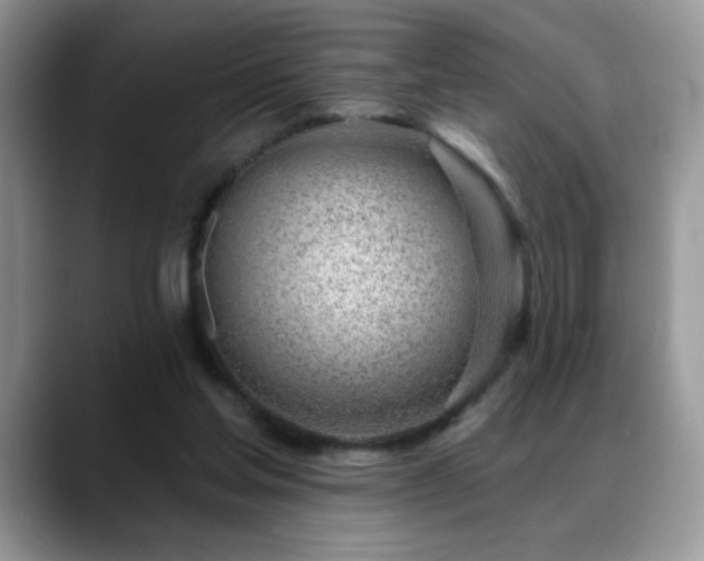 X0000088900205200706081312
