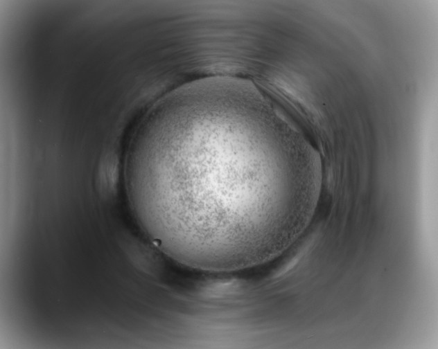 X0000088900206200706081312