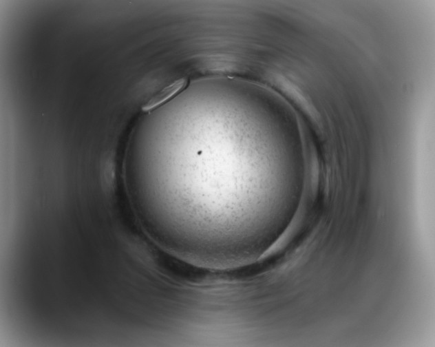 X0000088900207200706081312