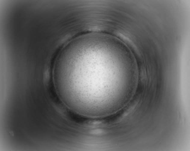 X0000088900208200706081312