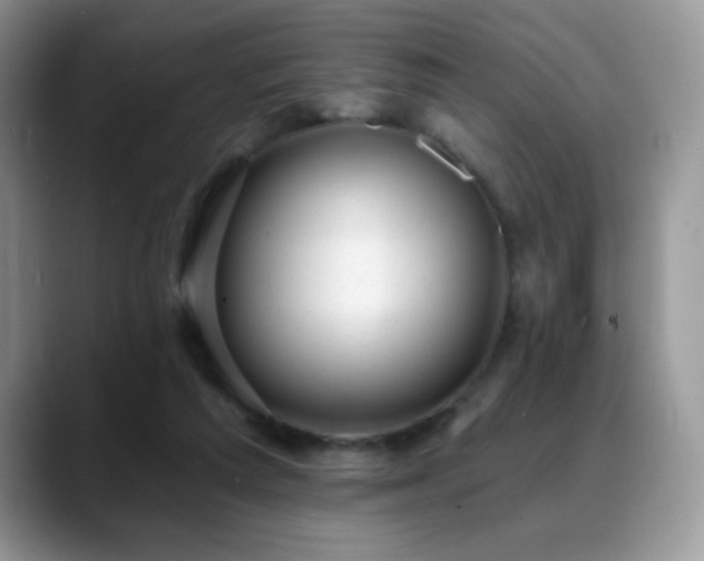 X0000088900209200706081312