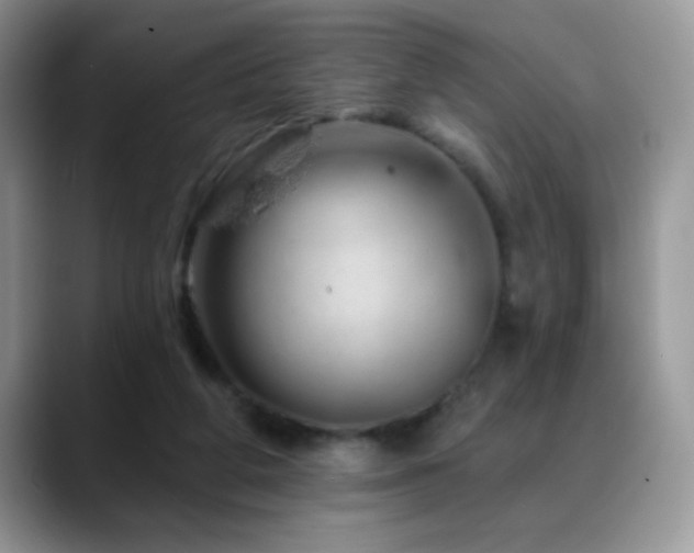 X0000088900210200706081312