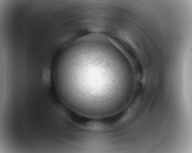 X0000088900211200706081312