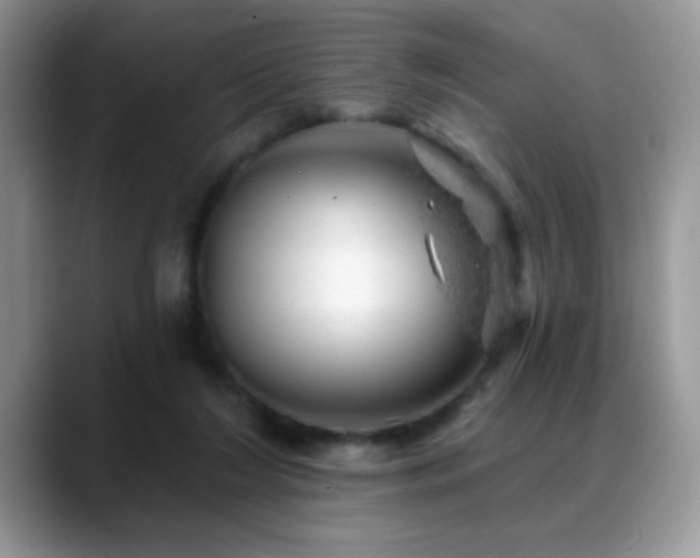 X0000088900212200706081312