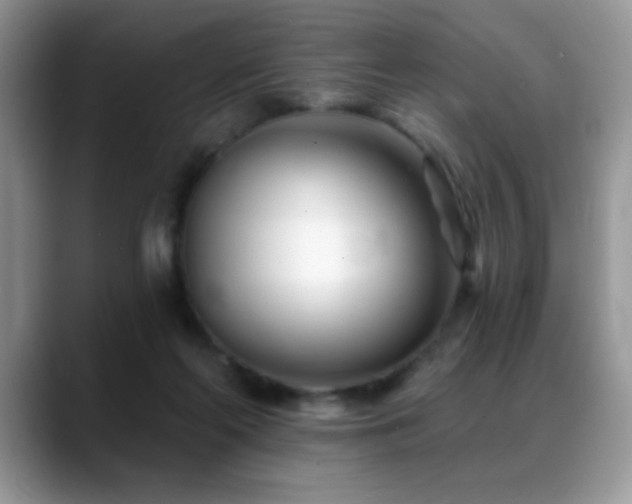 X0000088900214200706081312